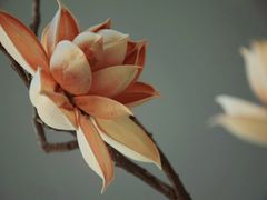 -听雨小筑茶舍(观音桥·龙湖新壹街店)