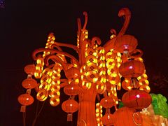 -武汉园博园(武汉自然博物馆)