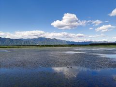 -野鸭湖国家湿地公园