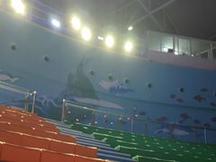 -烟台海昌鲸鲨海洋公园