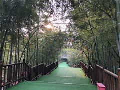 -陶祖圣境风景区