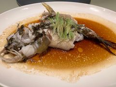 -利苑酒家(金宝店)