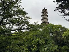-江心屿景区