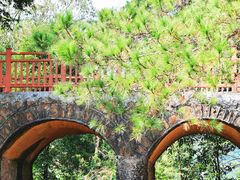 -佛山市三水区大南山森林公园