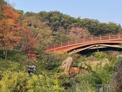 -云溪植物园