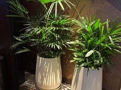 -喜湘宴·精致湖南菜(和平西桥店)