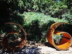 -北京西山国家森林公园