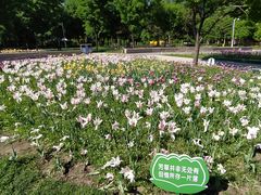 -长春公园(普阳街道)