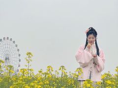 -金卉庄园