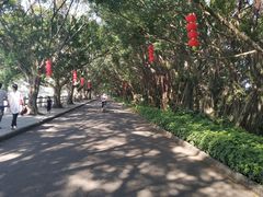 -大湾区中央湿地公园