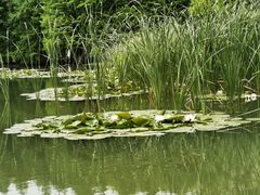 -白塘生态植物园