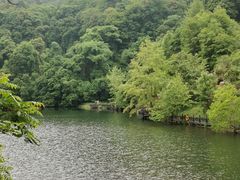 -江西阳明山国家森林公园