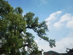 -新安江山水画廊风景区