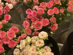 -双季花艺园艺市场(浦东店)