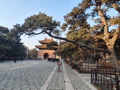 -北陵公园