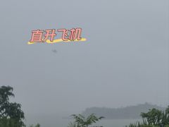 -野狸岛