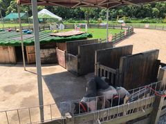 -前小桔亲子创意农场·草莓采摘·露营烧烤