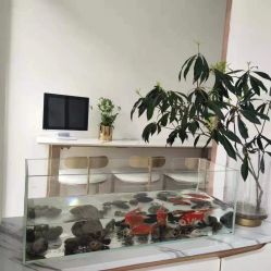 -汐月Health纤体spa中心