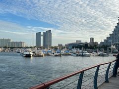 -日照世帆赛基地