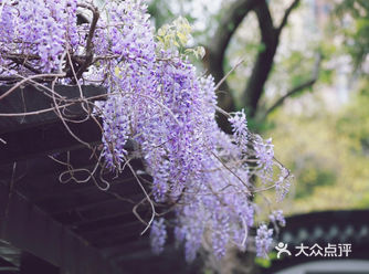 #静心聆听享受一下片刻的宁静 #总要出门看看吧