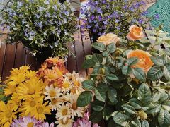 -花十悦·鲜花咖啡餐厅(振业城一期店)