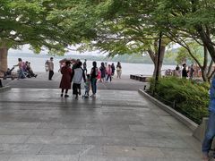 -西湖外事游船(花港观鱼码头)