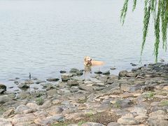 -上海月湖雕塑公园