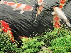 -罗红摄影艺术馆