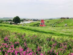 -空港花田景区