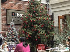 -弗兰克牛排西餐厅Ribone steak house(柠檬花园店)