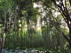 -福建鲤鱼洲酒店