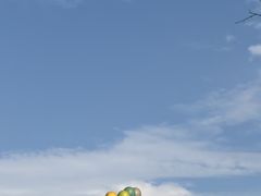 -云栖山谷野奢营地
