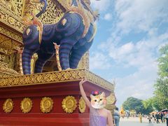 -西双版纳勐泐文化旅游区