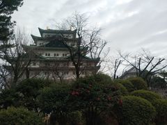 -名古屋城