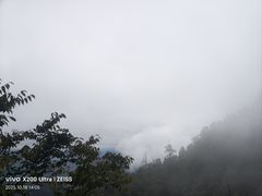 -天目山大树王景区