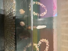 -石林冰雪海洋世界