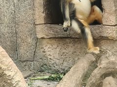 -南昌动物园