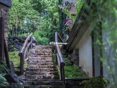 -莫干山风景区
