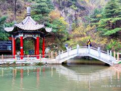 -王顺山国家森林公园