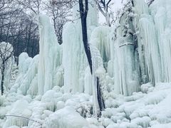 -沂蒙山旅游区云蒙景区(蒙山国家森林公园)