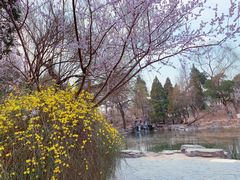 -清华大学-清芬园