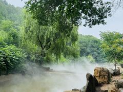 -北京西山国家森林公园