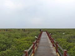 -北海金海湾红树林生态旅游区