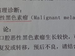 -中国农业大学动物医院