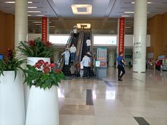 -南方医科大学深圳医院