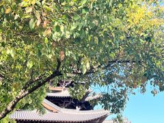 -杭州半山国家森林公园