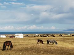 -青海湖国家重点风景名胜区
