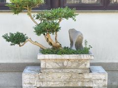 -苏州冶园园林民宿(太湖西山风景区店)