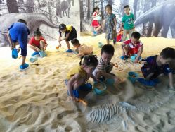 点击看大图 -恐龙探索乐园(磁器口店)