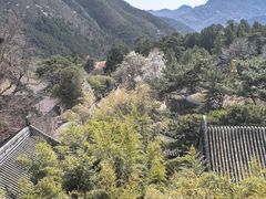 -潭柘寺景区